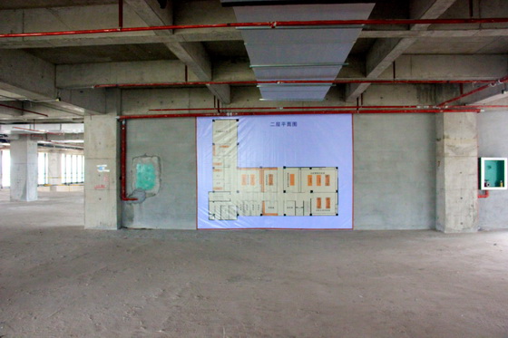 1558428807862012.jpg